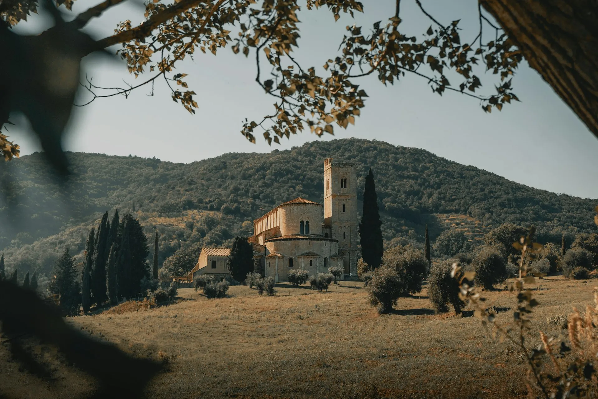 Bakketop med bygninger og vinmarker i Toscana